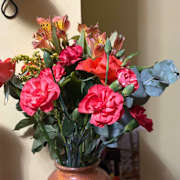 View Service Offered By Rebecca Jones 6 