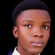 View Service Offered By Israel Ayomiposi 