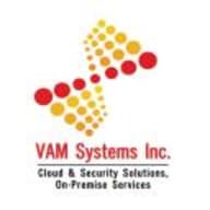 VAMSystems1