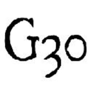 G30 Consultants