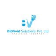 BitVivid Solutions