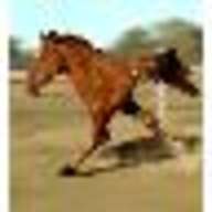CARINKESH