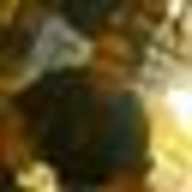 kaushikpaul