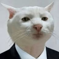 Business Cat