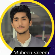 Mubeen Saleem Ecommerce