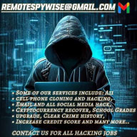 Remotespywise