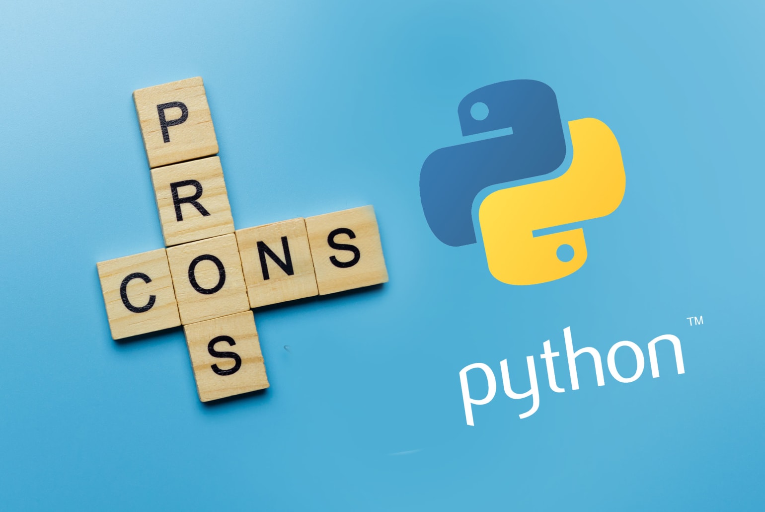 The Pros and Cons of the Python Language - Guru Blog