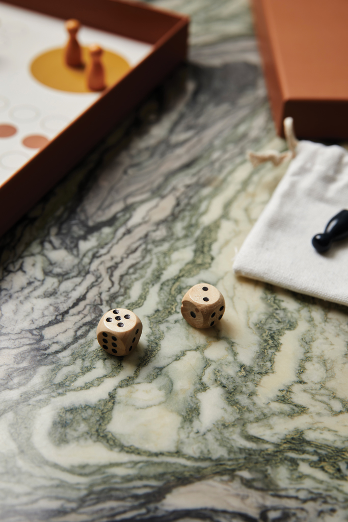 VINGA Juego de mesa Ludo