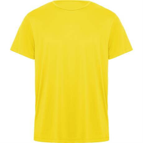 ROLY CAMISETA DAYTONA 