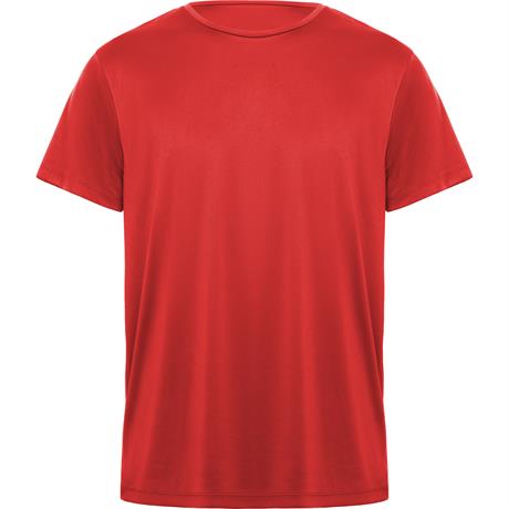 ROLY CAMISETA DAYTONA 