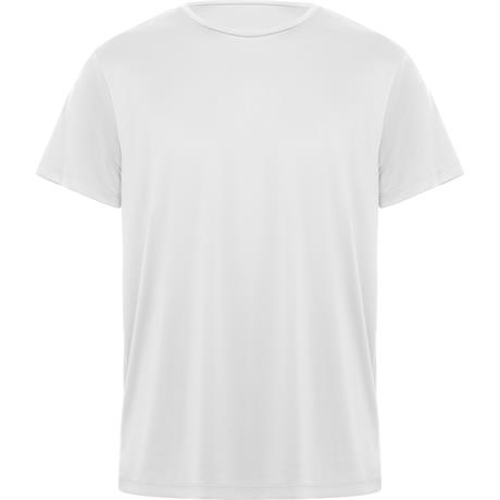 ROLY CAMISETA DAYTONA 