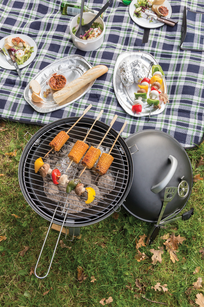 Manta picnic Tartan