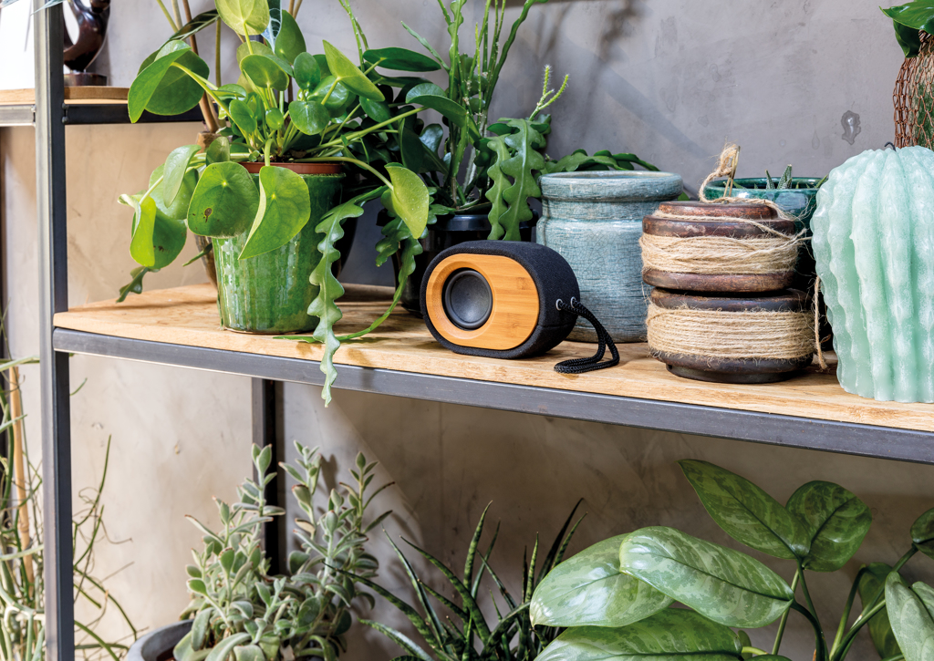 Altavoz Bamboo X