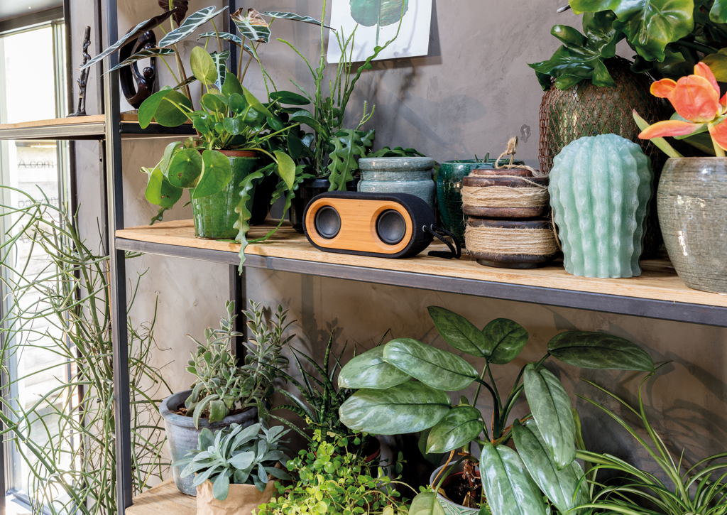 Altavoz doble Bamboo X