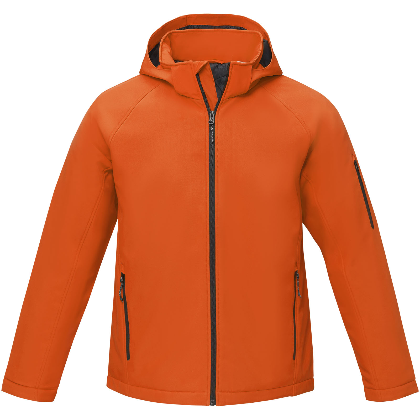 Notus men's padded softshell jacket
