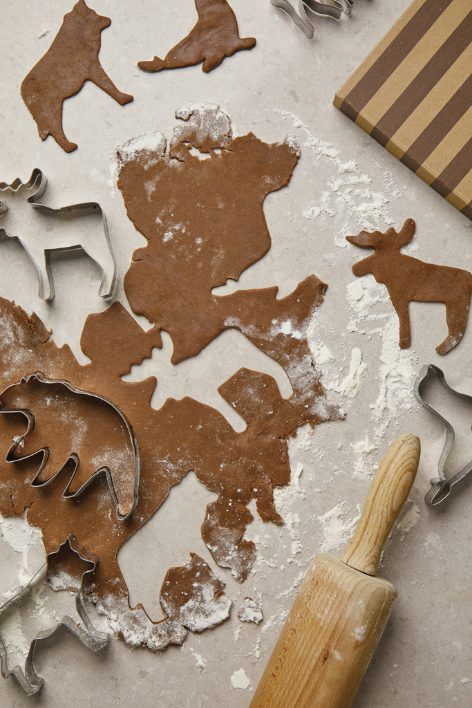 Set 5 cortadores de galletas VINGA Nordic