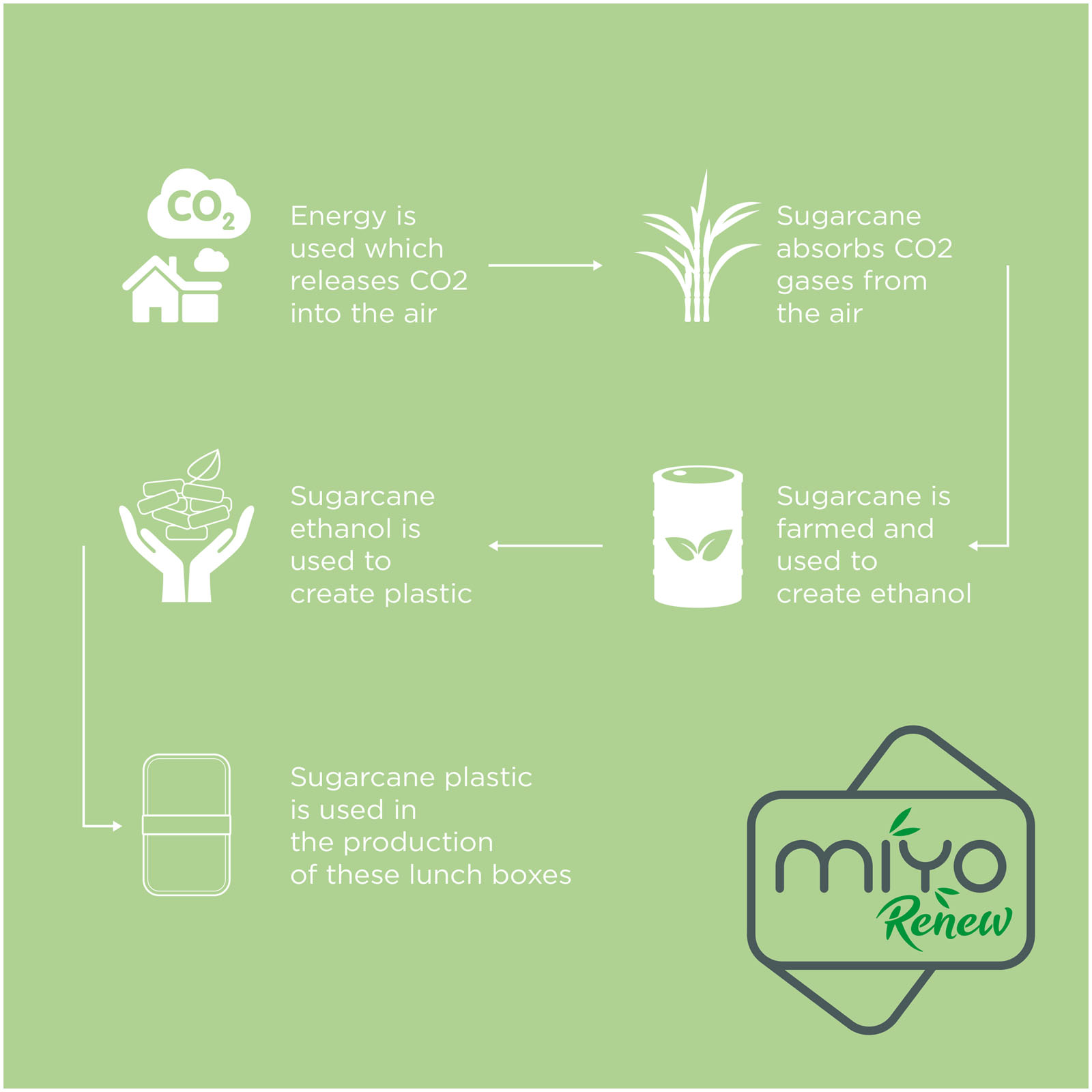 MIYO Renew 700+700 ml double layer lunch box