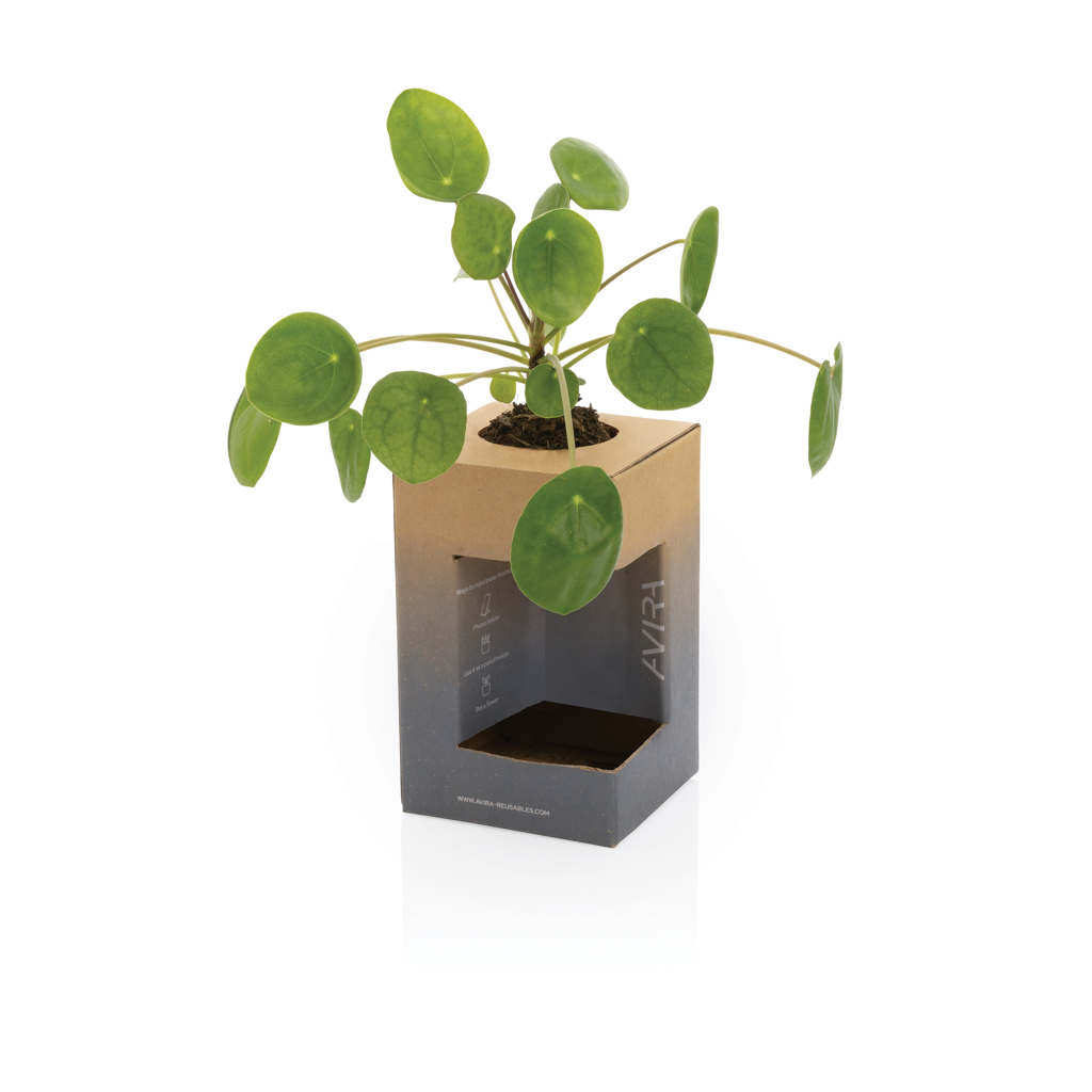 Taza Avira Alya RCS de acero 300ML