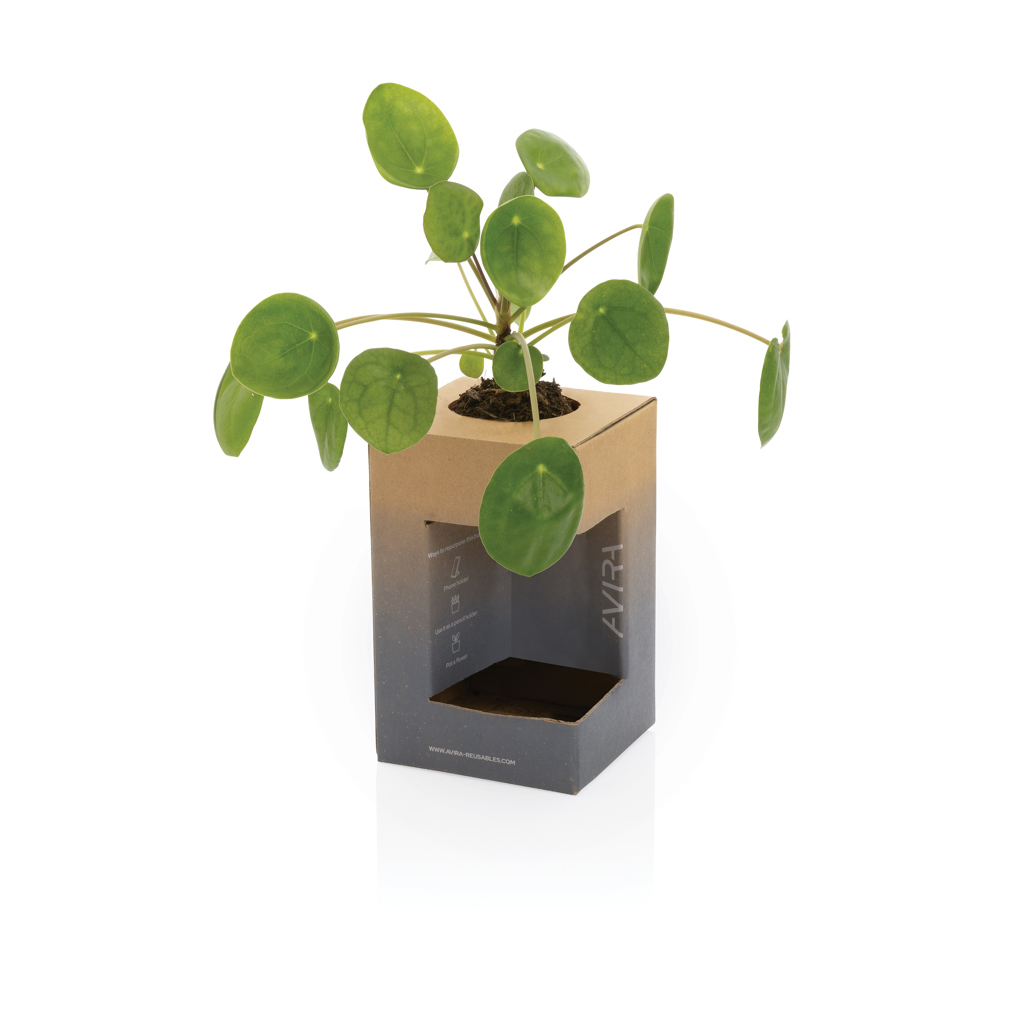 Taza Avira Alya RCS de acero 300ML