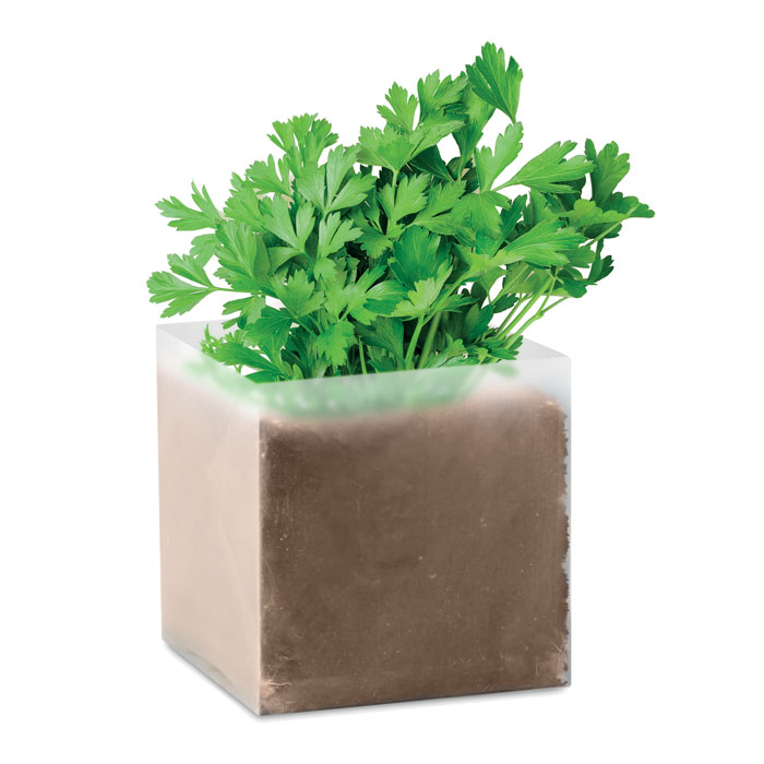 Parsely