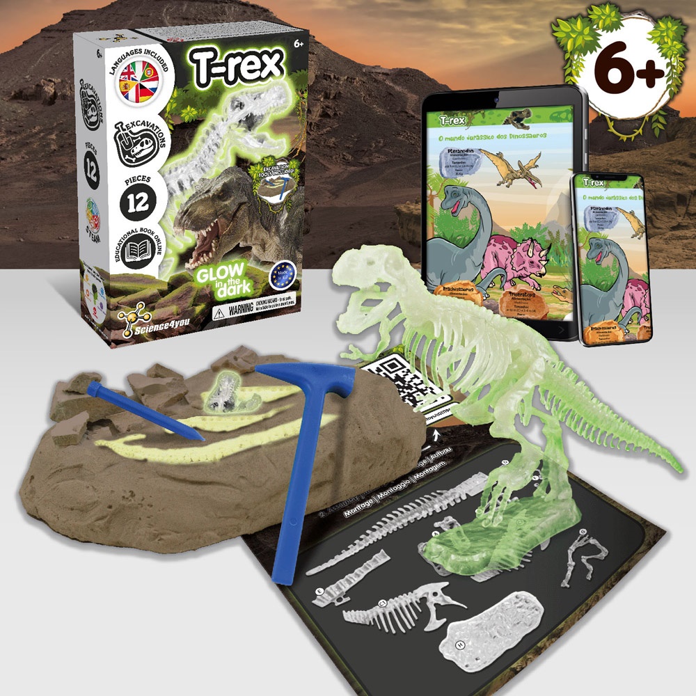 Fossil Excavation Kit I. Juego educativo para niños