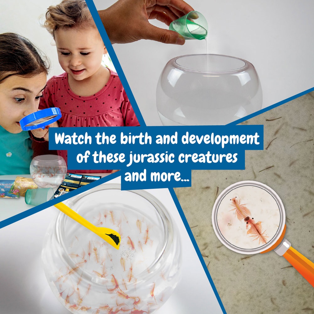 Jurassic Pets Kit I. Juego educativo para niños