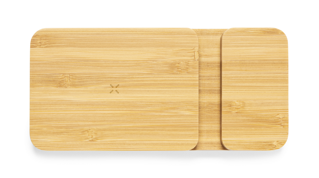 Power Bank Dralia