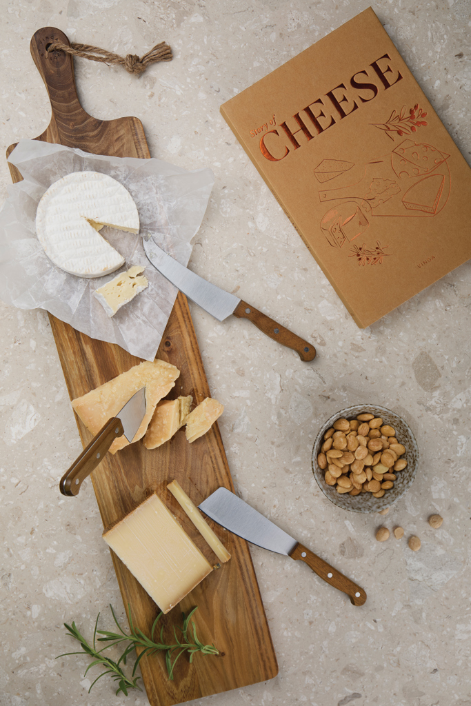 Historia del queso VINGA