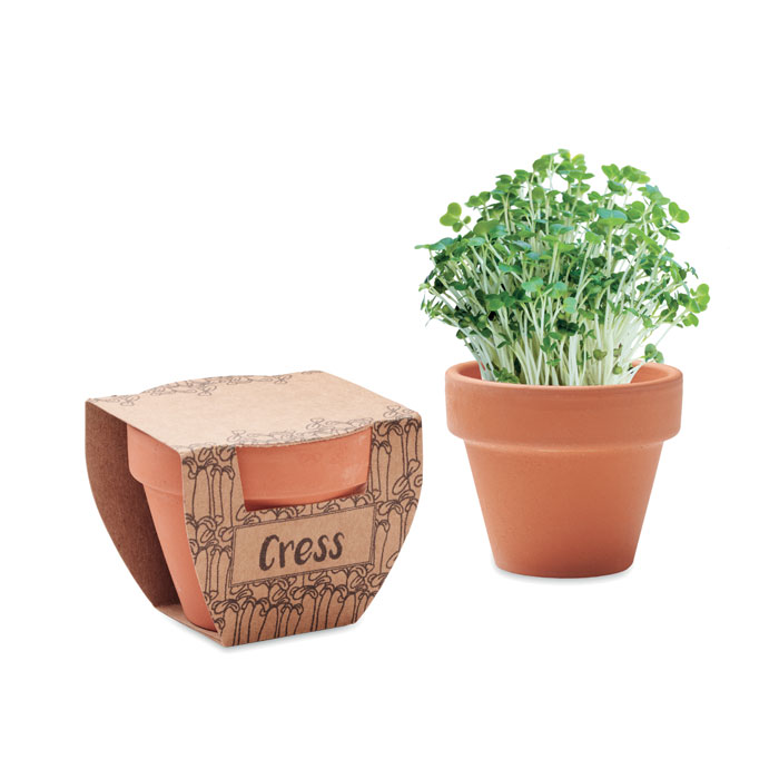 Cress pot