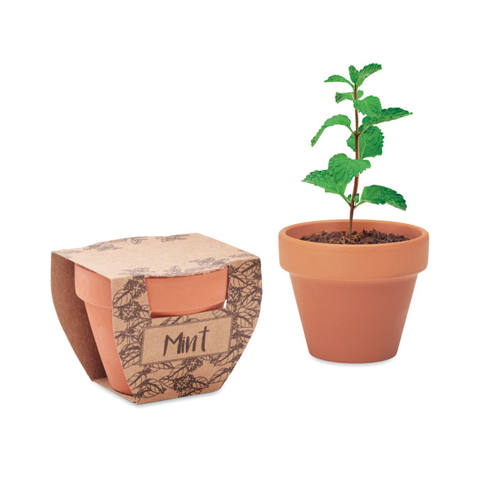 Mint pot