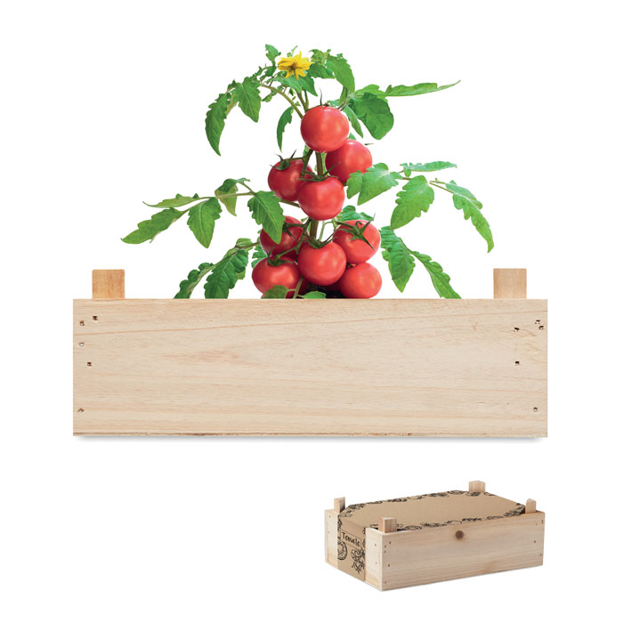 Tomato
