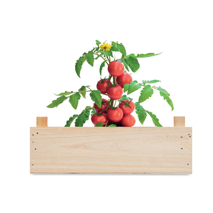 Tomato
