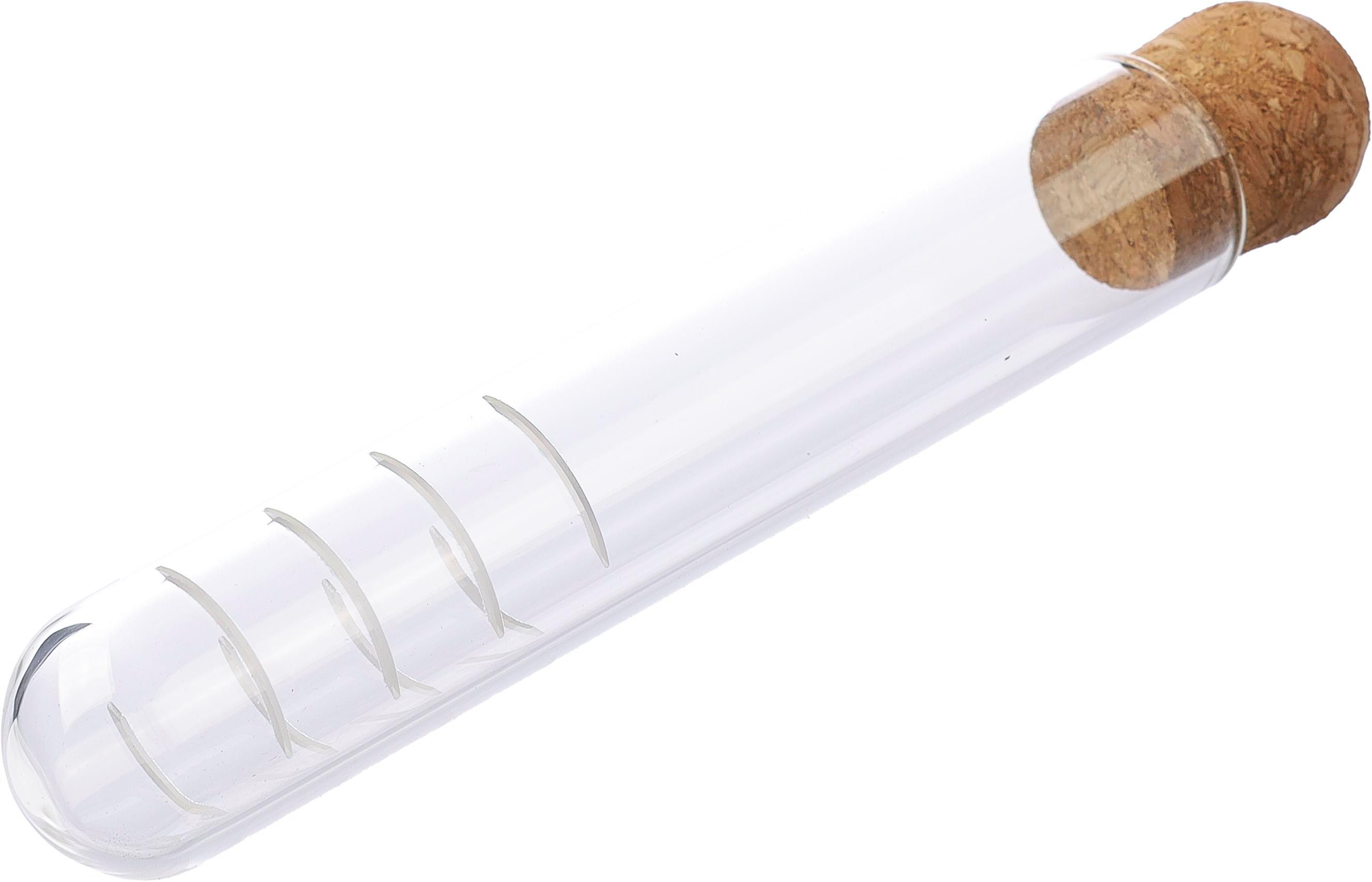 Infusor de té de vidrio Dustin