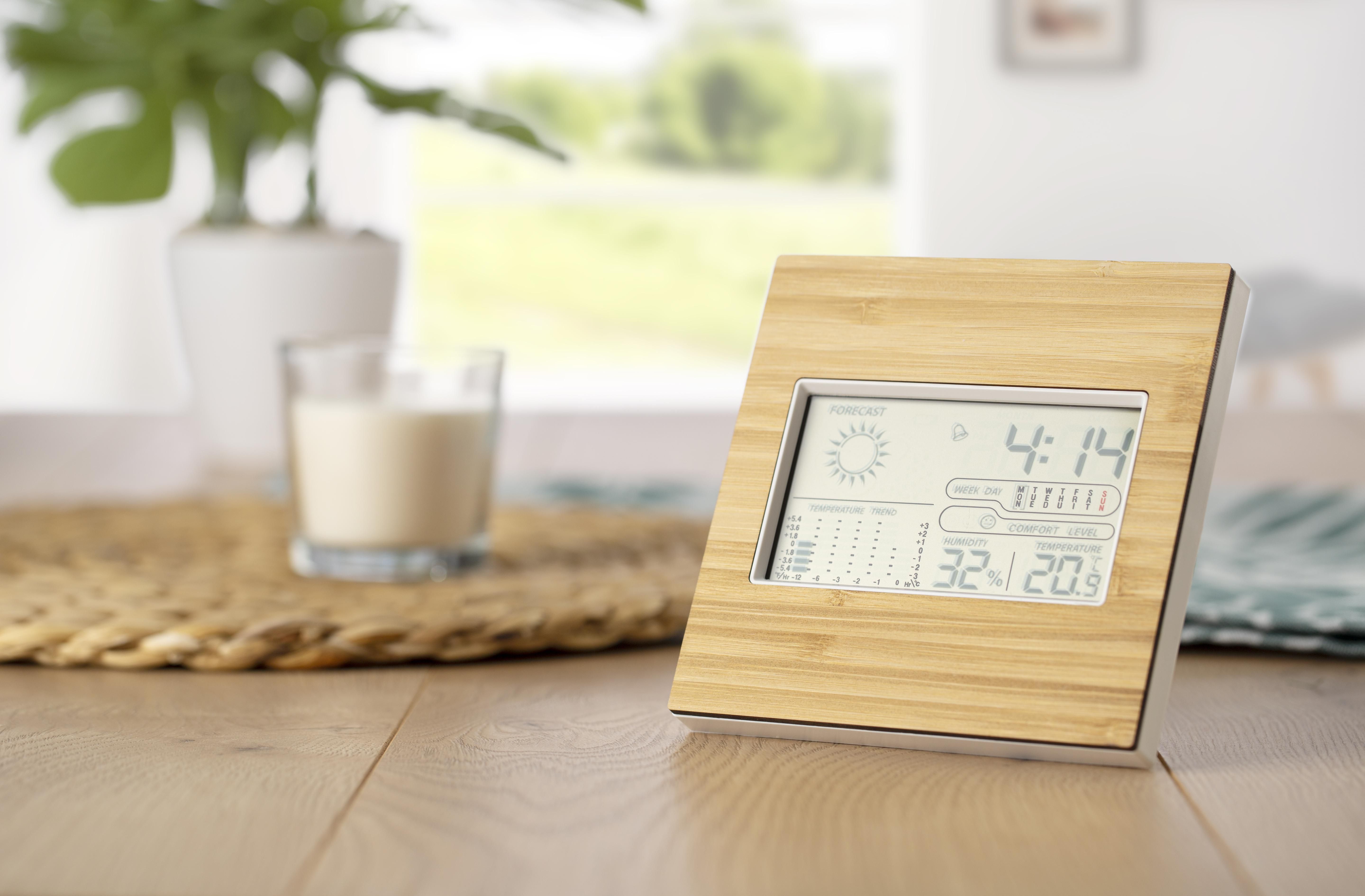 Bamboo weather station Lia