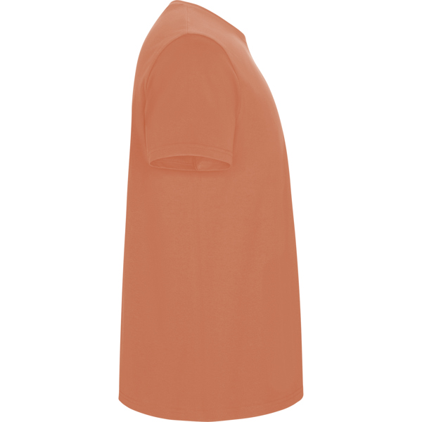 ROLY CAMISETA STAFFORD