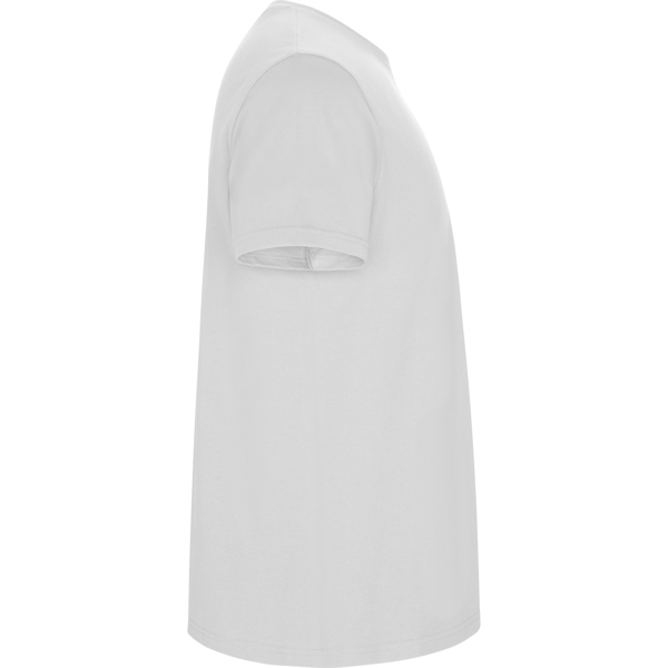 ROLY CAMISETA STAFFORD