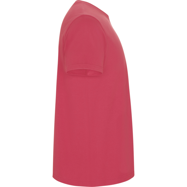 ROLY CAMISETA STAFFORD