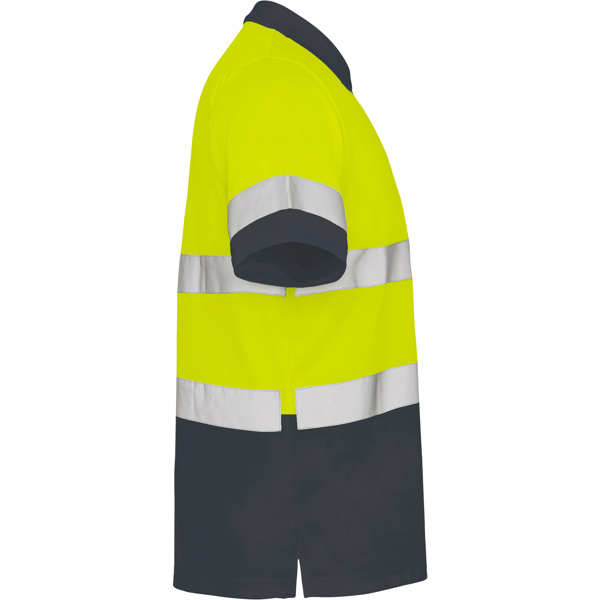 ROLY AV POLO POLARIS