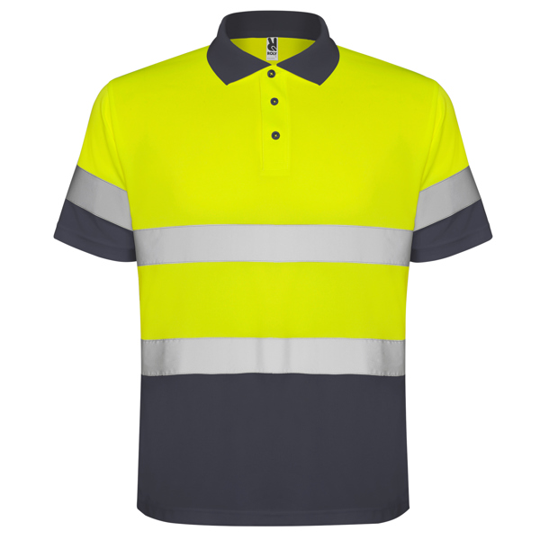 ROLY AV POLO POLARIS
