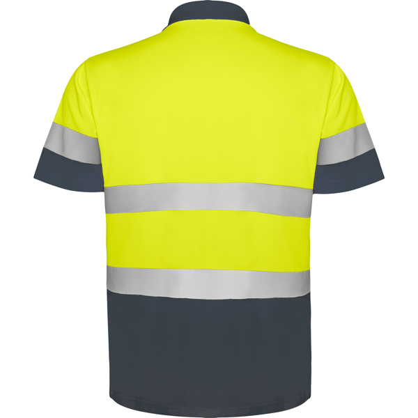 ROLY AV POLO POLARIS