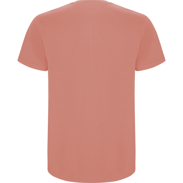 ROLY CAMISETA STAFFORD