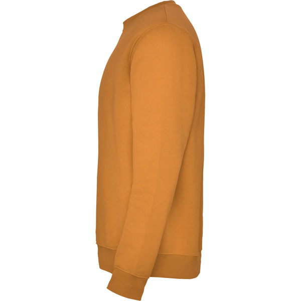 ROLY SUDADERA CLASICA T/11/12 ROSETON