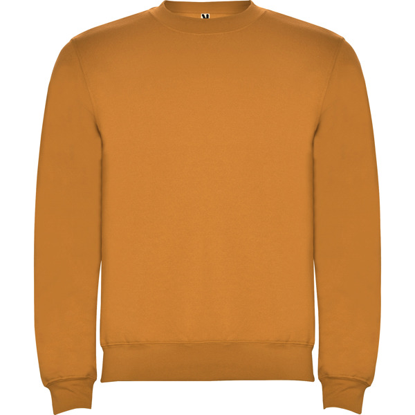 ROLY SUDADERA CLASICA T/11/12 ROSETON