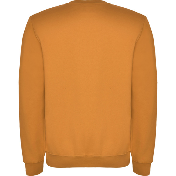 ROLY SUDADERA CLASICA T/11/12 ROSETON