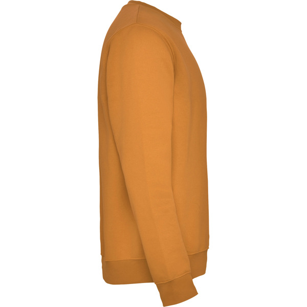 ROLY SUDADERA CLASICA T/11/12 ROSETON