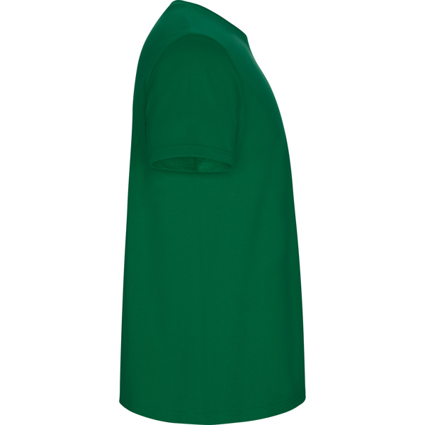 ROLY CAMISETA STAFFORD