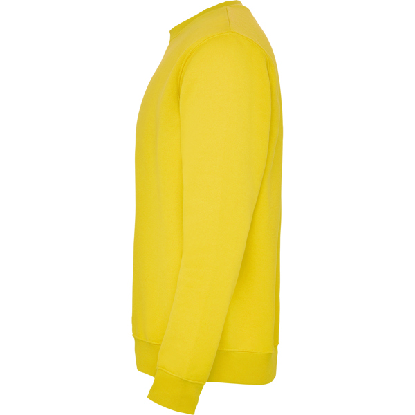 ROLY SUDADERA CLASICA T/11/12 ROSETON