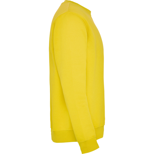ROLY SUDADERA CLASICA T/11/12 ROSETON