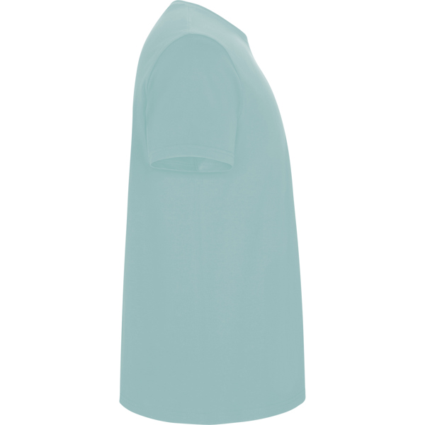 ROLY CAMISETA STAFFORD