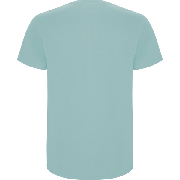 ROLY CAMISETA STAFFORD